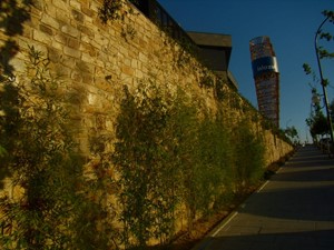 ISLAZUL 1